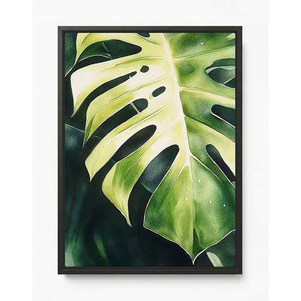Obraz Rám Americký Box Rostlina Zelená List Monstera Filodendron 60x80