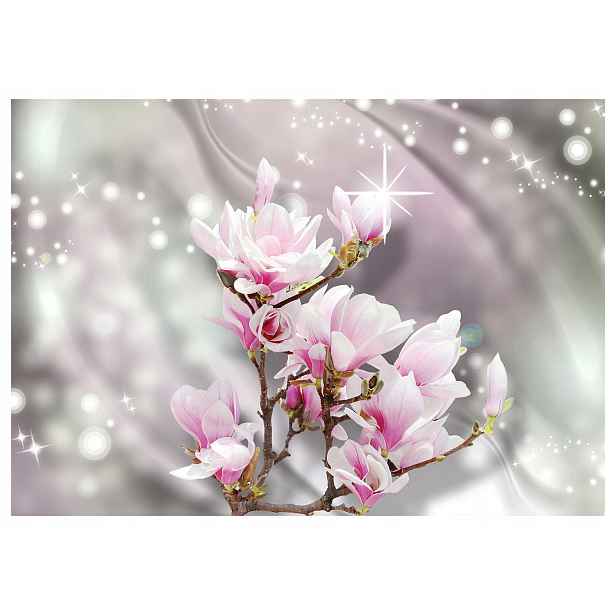 Fototapeta Magnolie růžové jemnost jara elegance 300x210 lepidlo