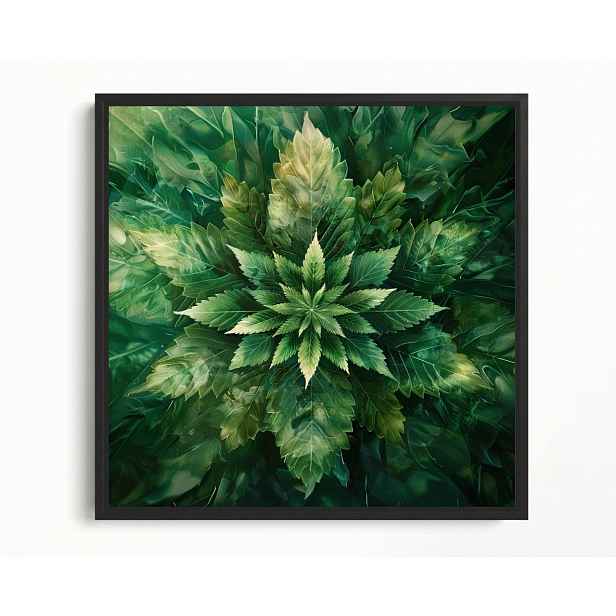 Obraz Rama American Box Mandala List Konopí Zelená Příroda Botanika 60x60