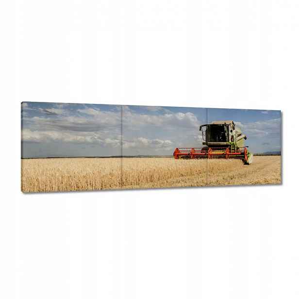 Obrazy 120x40 Kombajn během sklizně