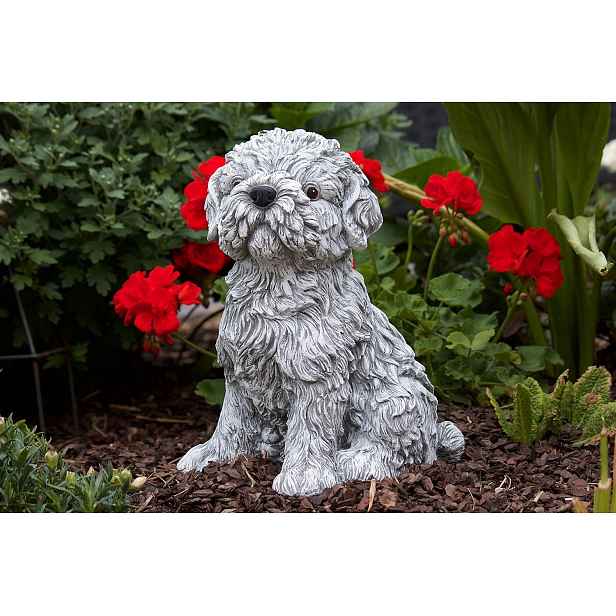 Betonová figurka Pes Shih tzu betonové figurky Pejsek dekorace do zahrady