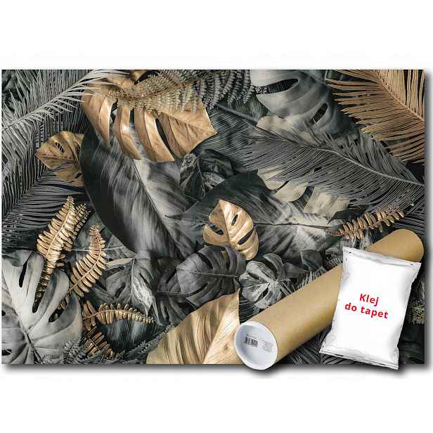 Vinylová fototapeta rostliny listy palma monstera kapradina příroda 152x104