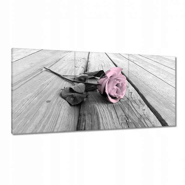 Obrazy 120x60 Pudrová růžová Old pink Rose