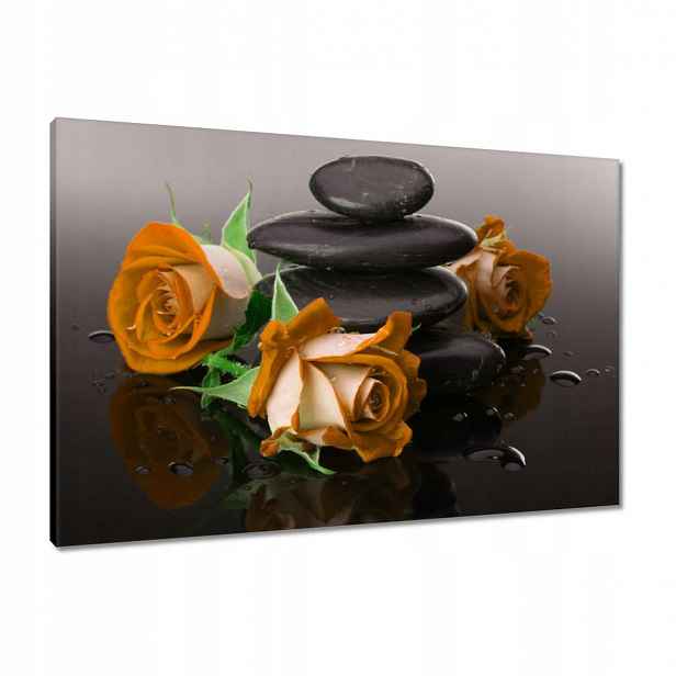 Obrazy 90x60 Oranžové růže Spa