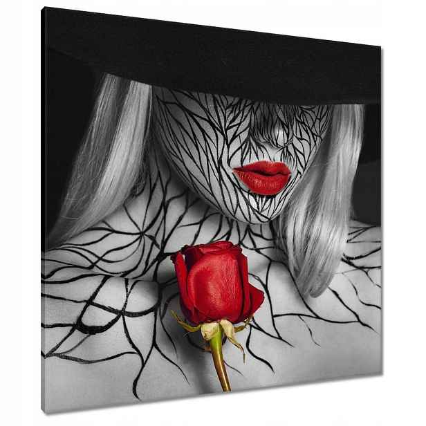Obrazy 80x80 Červené rty a červená růže
