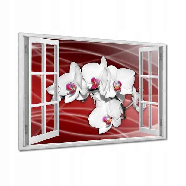 Obrazy 120x80 Květiny orchideje