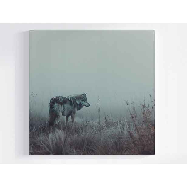 Obraz Na Plátně Canvas Fauna Zvíře Šedý Vlk Mlha Příroda Zima 50x50