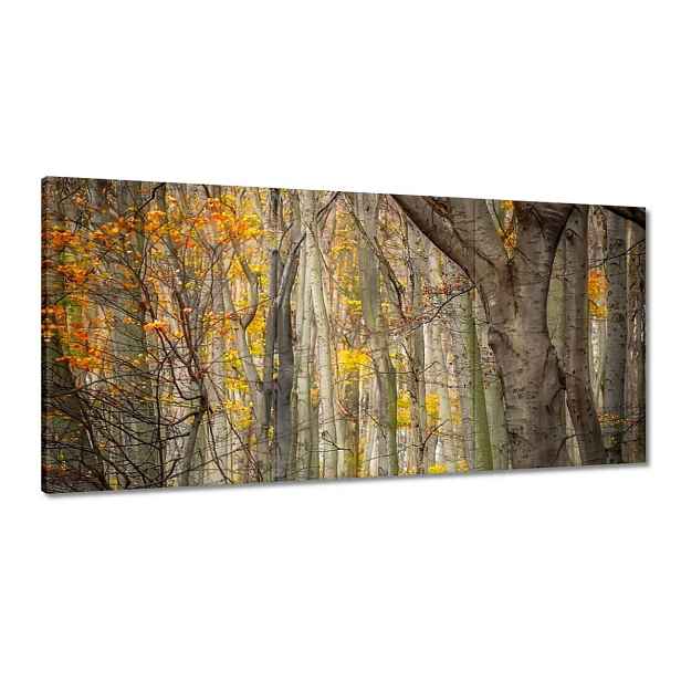 Obrazy 180x90 Krajina Pohled