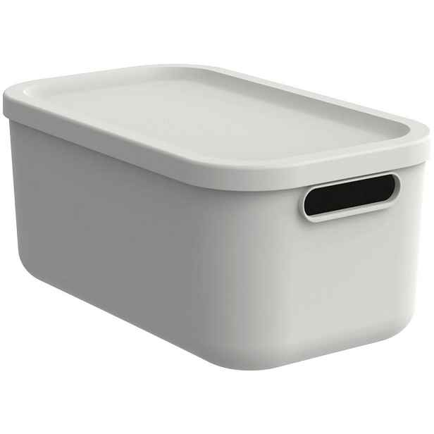 Rotho BOX S VÍKEM 12 l
