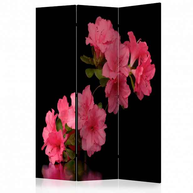 artgeist PARAVÁN, 135/172/3 cm