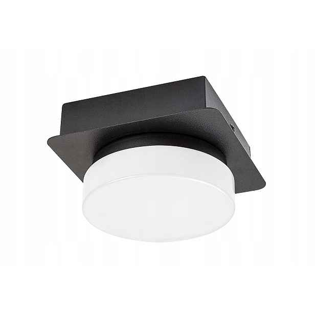 Stropní bodové svítidlo do koupelny černé matné bílé Led neutrální Rabalux