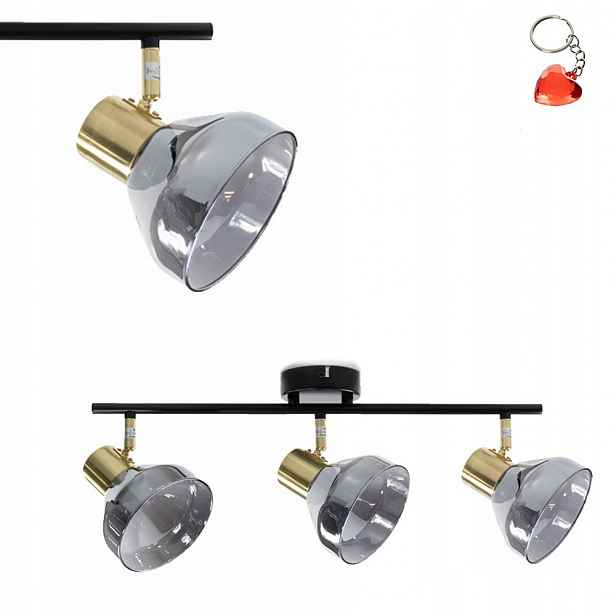 Stropní spotová lampa Aje-lisa 3P Activejet
