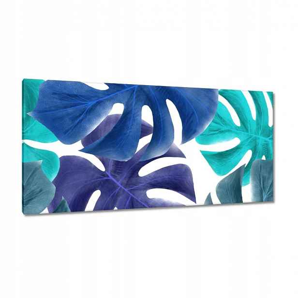 Obrazy 115x55 Monstera Listy Modrá