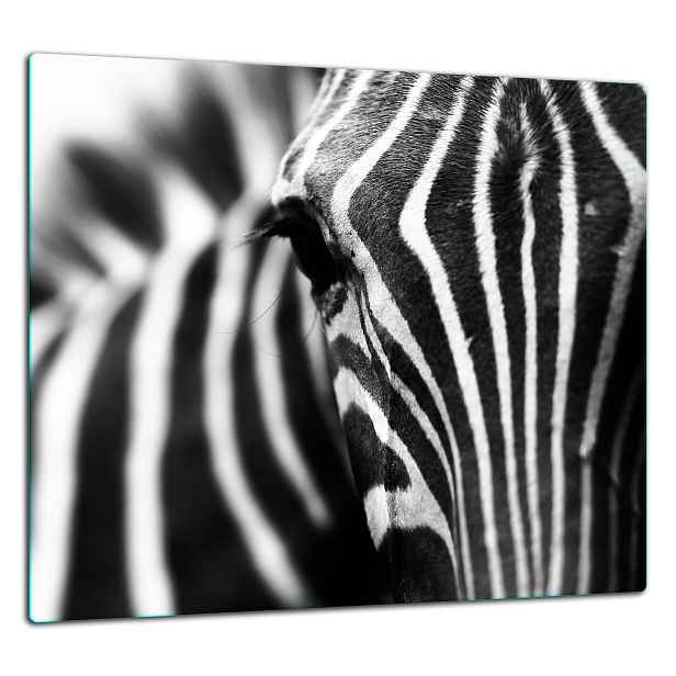 Skleněná Ochranná Deska Panel Lepidlo 65x60 Zebra