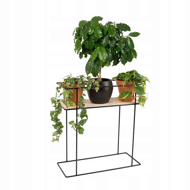 Držák Na Květináč Aloe kovový stojan do obývacího pokoje s černým dřevem, výška 63 cm