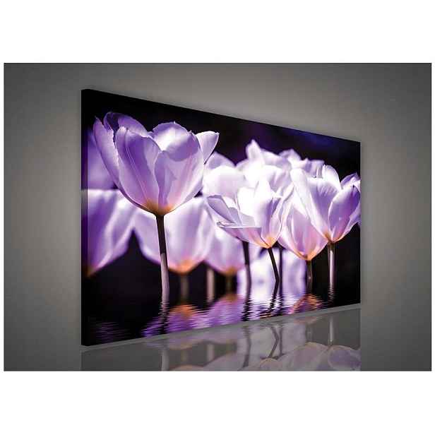 Obraz 100x75 Jemnost tulipánů fialová bílá jarní květiny klid