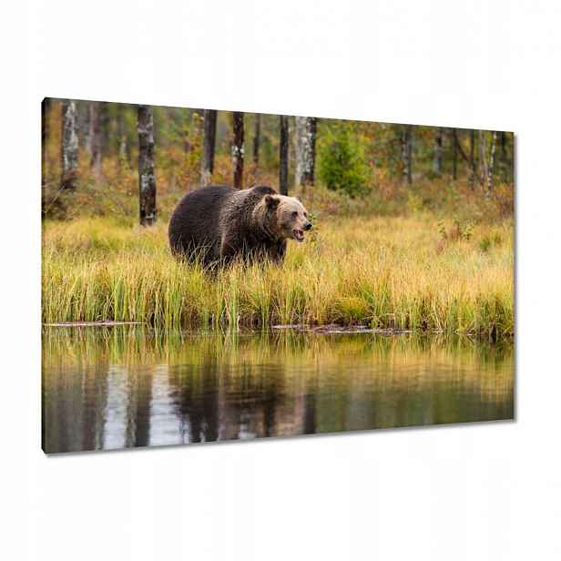 Obrazy 120x80 Zvířata Zvířátka