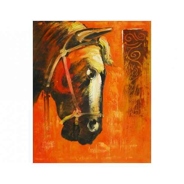 Obraz - Hlava koně