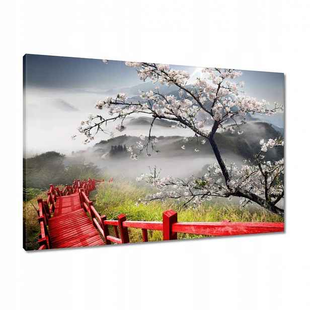 Obrazy 90x60 Červený most v Japonsku
