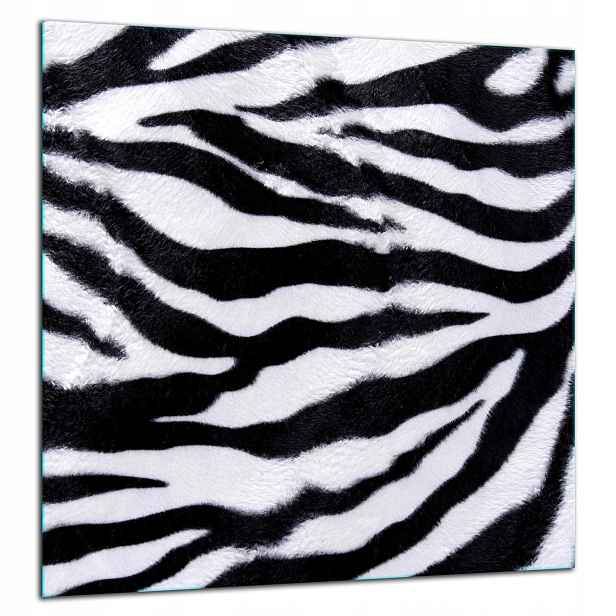 Skleněná Ochranná Deska Panel Lepidlo 60x65 Zebra
