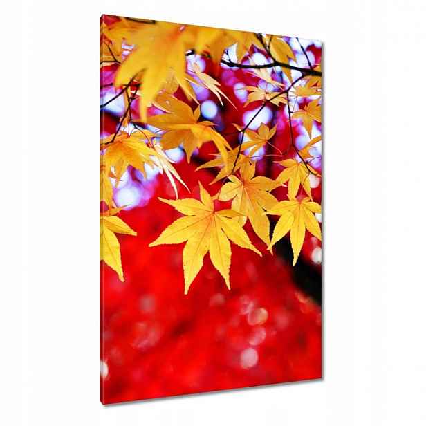 Obrazy 80x120 Žlutý podzimní list