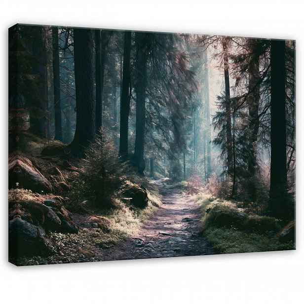 Obraz Les Stromy Příroda Krajina Do Ložnice Obývacího Pokoje Na Plátně 100x70