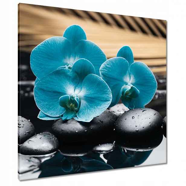 Obrazy 80x80 Tyrkysový orchidej Květina