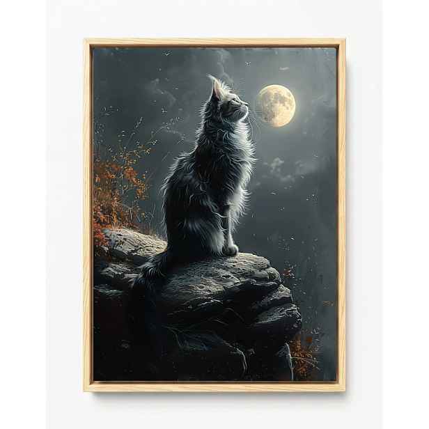 Rám Na Obraz Americká Krabička Noc Tma Nebe Měsíc Šedá Kočka Tommy 60x80
