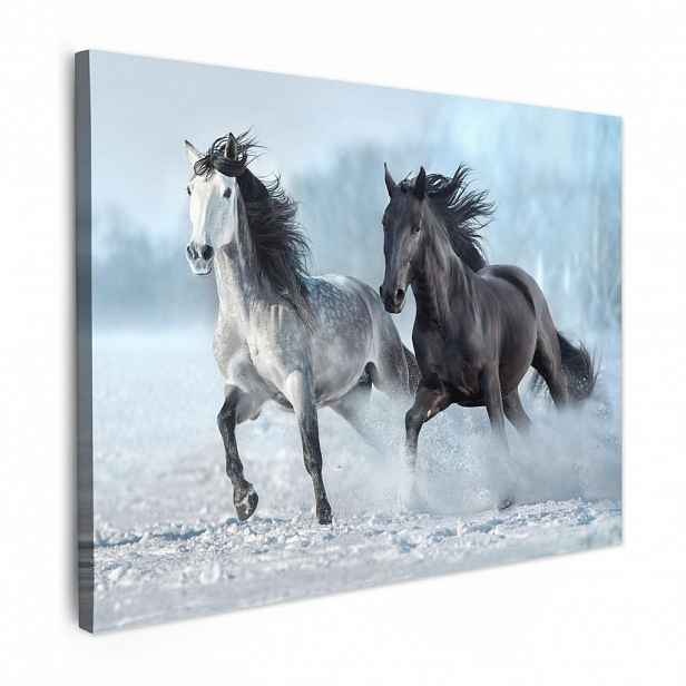MuchoWow OBRAZ NA PLÁTNĚ Koně - Zima - Zvířata - Příroda - Sníh 40x30 cm