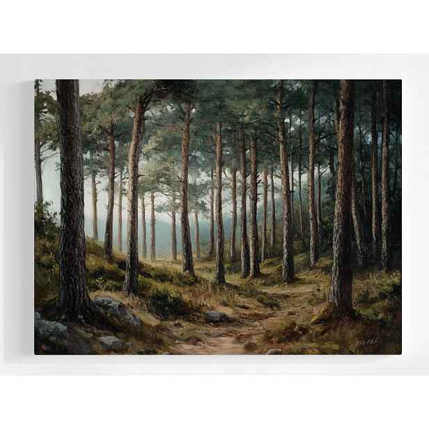 Plakát Krajina Venkovní Les Stromy Cesta Stezka Pohled 100x75