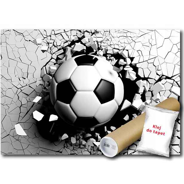 Vinylová Fototapeta Fotbalový Fotbal 208x146