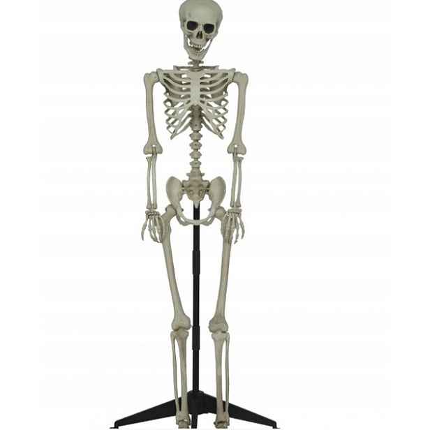 Dekorace Kostlivec Kostra Na Rámu Stojící 155 CM Halloween
