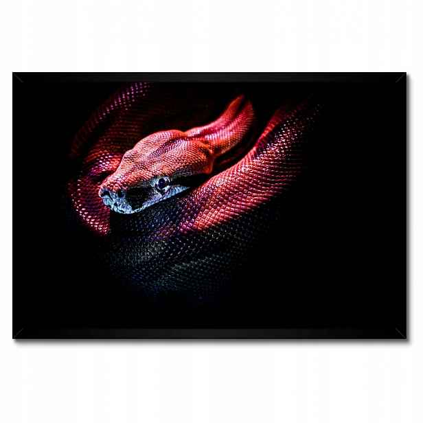 Plakáty v rámu 60x40 Červený had