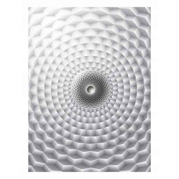 Fototapeta Sférická abstrakce Geometrie Šedá Iluze 206x275 lepidlo