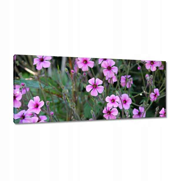 Obrazy 100x40 Fialové květy