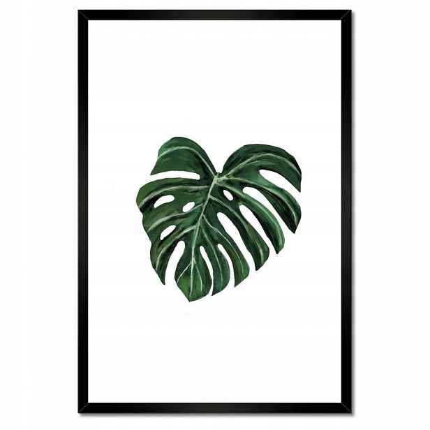 Plakáty v rámu 40x60 Monstera deliciosa List