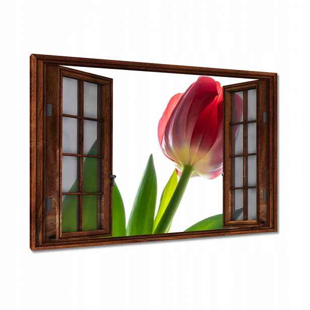 Obrazy 90x60 Červený tulipán Květina