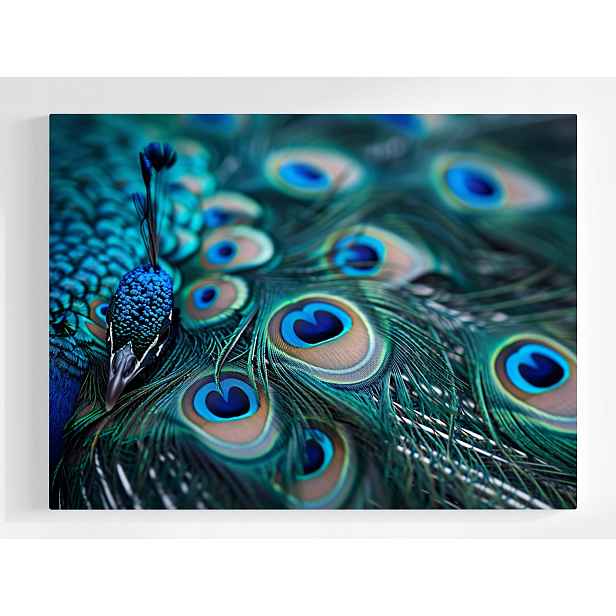 Plakát Příroda Makro Fotografie Pták Paw 100x75