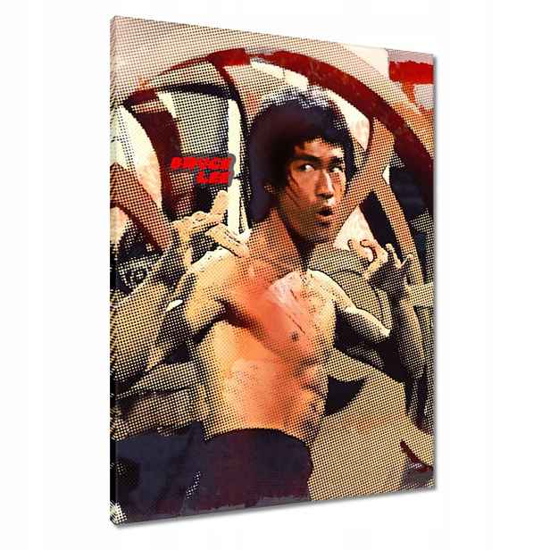 Obrazy 60x80 Bruce Lee Kung Fu