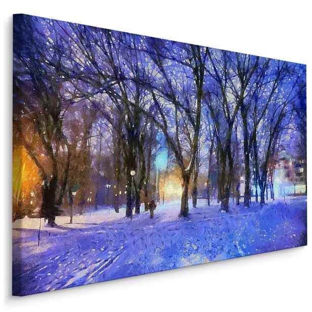 Plátno Zima V Parku Varianta: 120x80