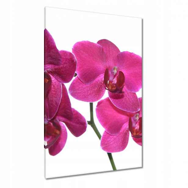 Obrazy 80x120 Fialový orchidej