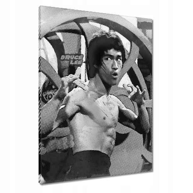 Obrazy 60x80 Bruce Lee Karateka