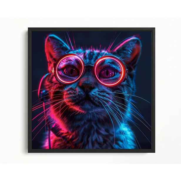Obraz Rám Americký Box Portrét Kočka Kocur Růžové Brýle Techno Nerd 50x50
