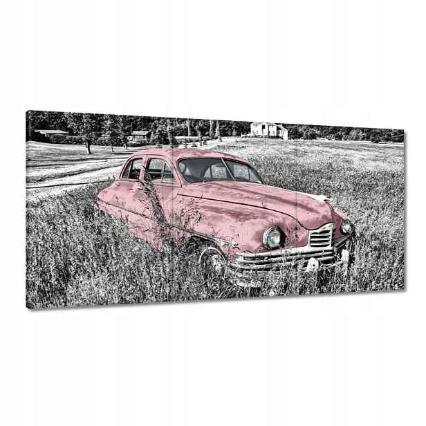 Obrazy 120x60 Růžová babička Historická