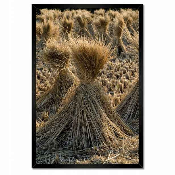 Plakáty v rámu 40x60 Chochoły