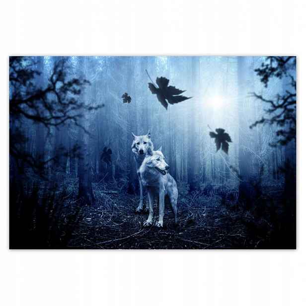 Fototapety 104x70 Vlci v modrém lese