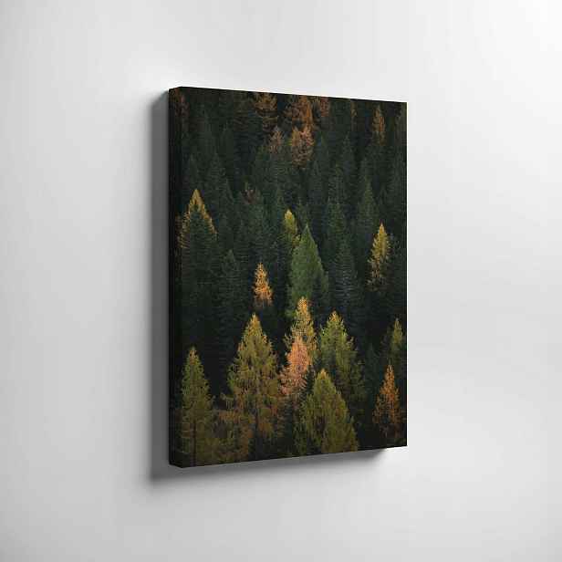 Obraz na plátně Les příroda na zeď 70x50 cm