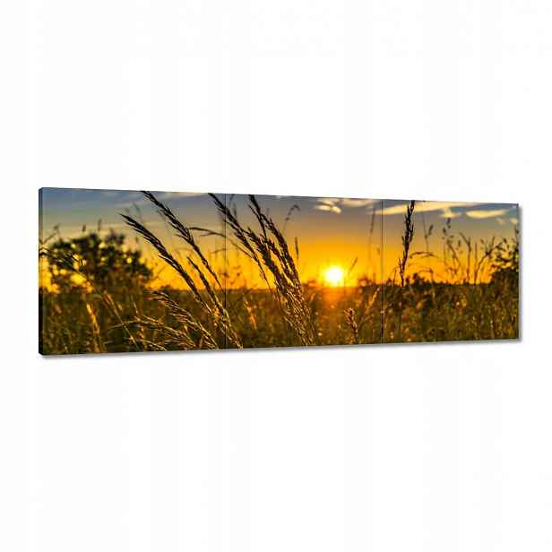 Obrazy 120x40 Západ slunce mezi trávou