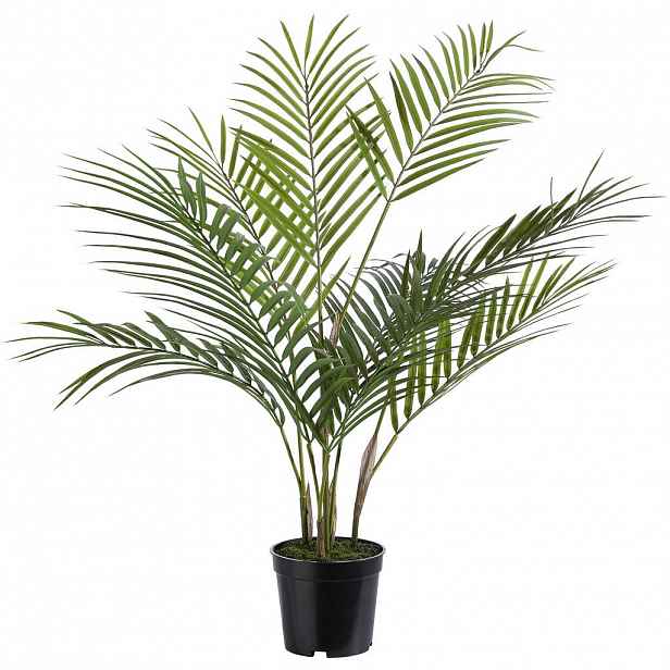 UMĚLÁ ROSTLINA 75 cm