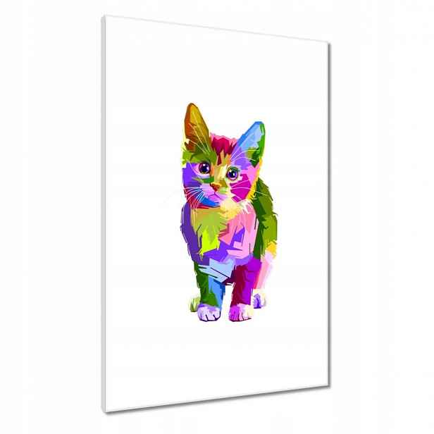 Obrazy 60x90 Barevné kotě